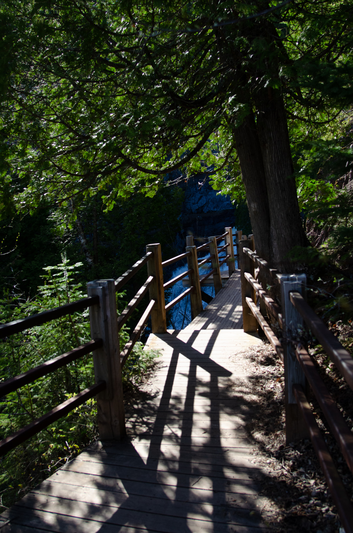847968102-dsc_0275 (1)